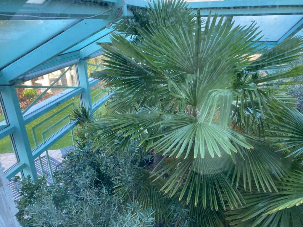 Wilsmann Apartmentvermietung Hövelhof Kültér fotó